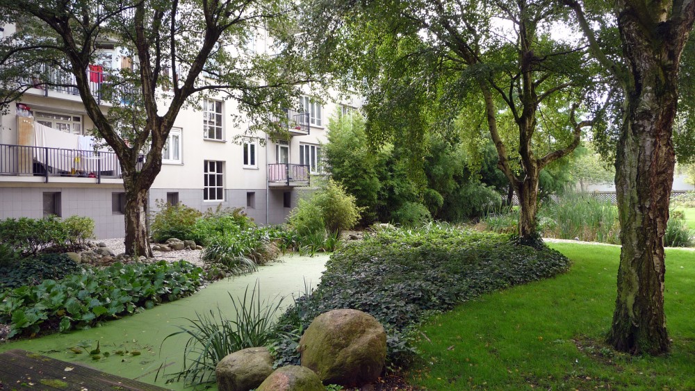 Beplanting bij een watertuin