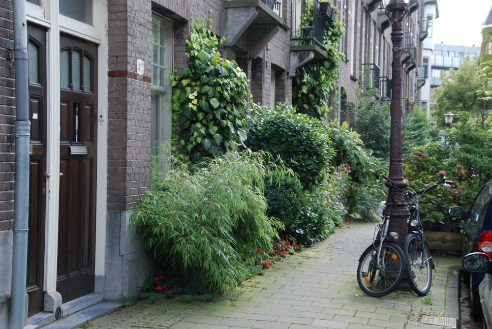 Geveltuintjes in Zuid  ©NMT Zuid