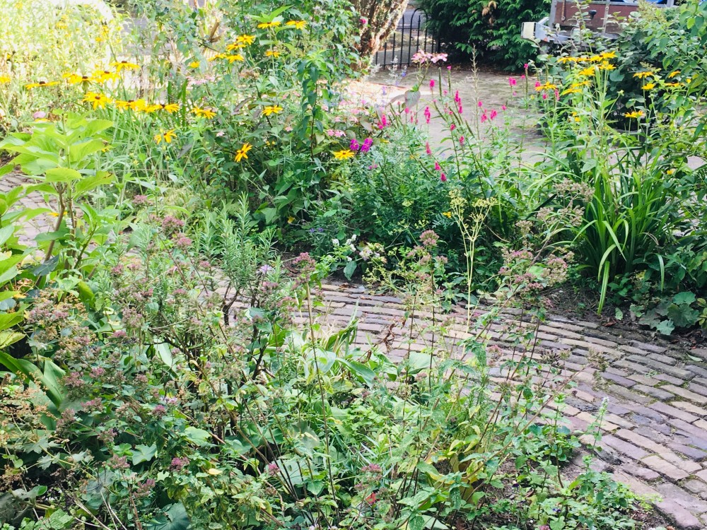 Week vd Groene Tuin - Tip 1: Ontstenen