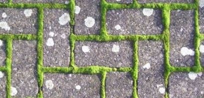 Week vd Groene Tuin - Tip 6: Duurzaam onderhoud