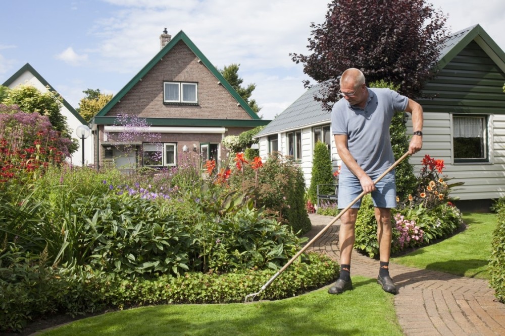 Stichting Steenbreek