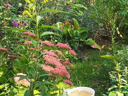 1219_1.0_eigentuin_crop_fokke_de_jong_0