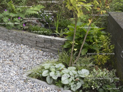beplanting_de_vergulde_wagen_2_anneke_beemer