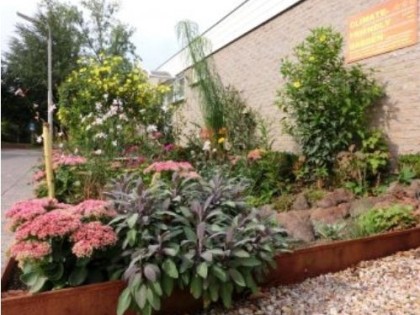 bevorderen-biodiversiteit-hoge-en-lage-planten