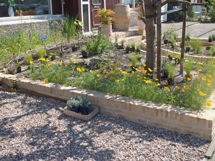 planten_uitzetten_0620-0440_foto_anneke_beemer