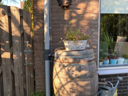 regenton_-_tuin_nicole_k