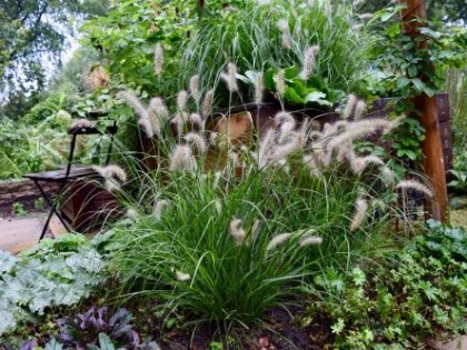 voorbeeldtuin_christine_-_beplanting_0