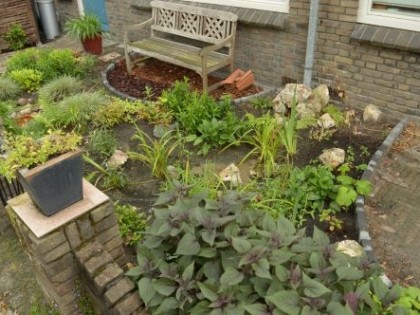 wadi_franklinstraat_amresfoort_1