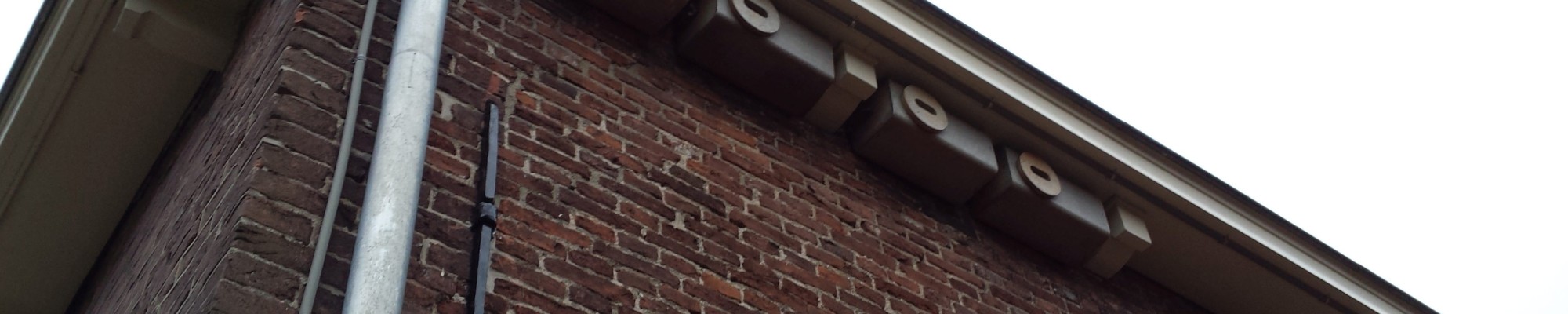 Kasten voor gierzaluwen die onder een dakgoot zijn gemonteerd.