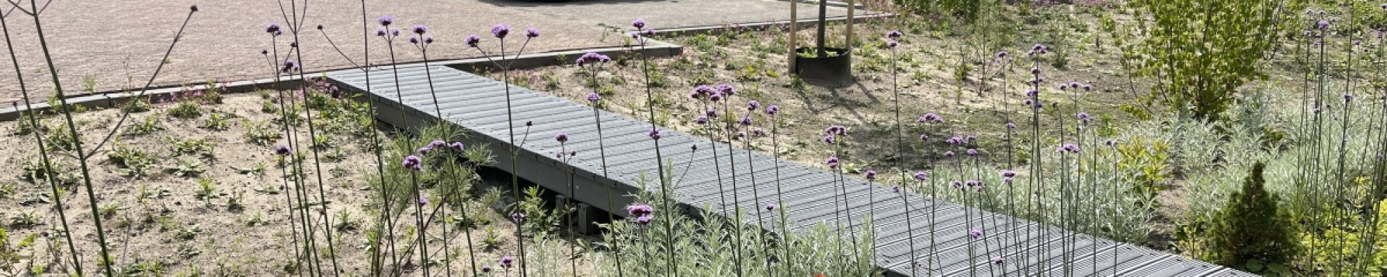 Diverse planten en een brug in een woonwijk.