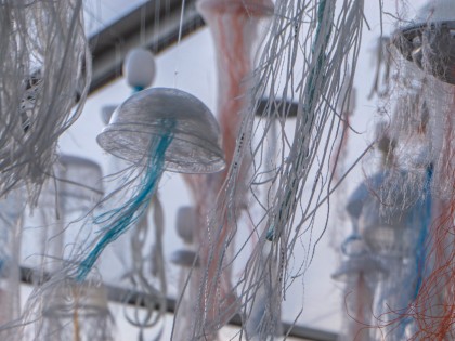 Carolien Adriaansche-Kwallen Impact on the Beach