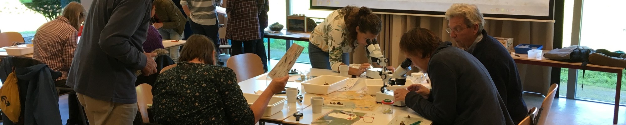 Diverse volwassenen op onderzoek tijdens een workshop.
