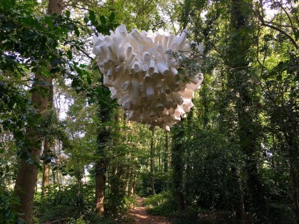 Carolien Adriaansche - Wolk IJhorst