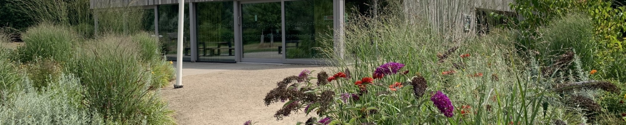 Het Groene Huis Amersfoort met op de voorgrond wilde planten en bloemen.
