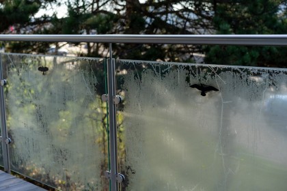 glasfolie1