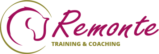 Logo Remonte, home
