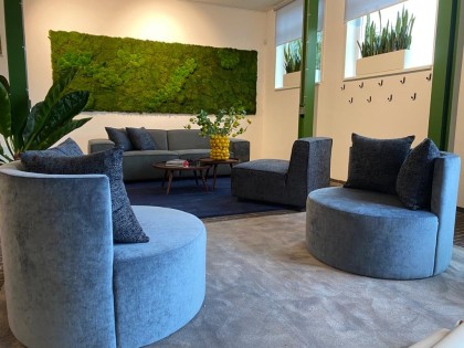 Luxe fauteuil