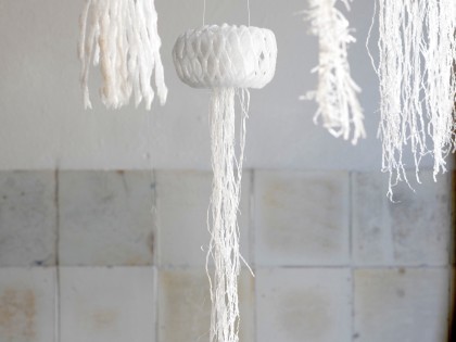 Carolien Adriaansche New Biodiversity detail