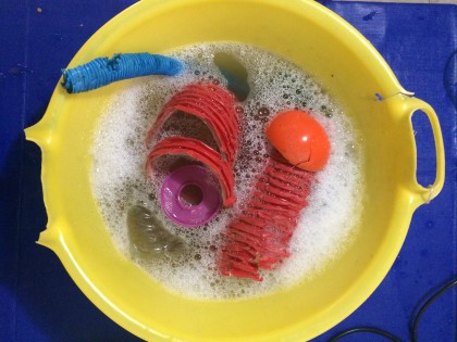 Carolien Adriaansche New Biodiversity gevonden plastic afval schoonmaken