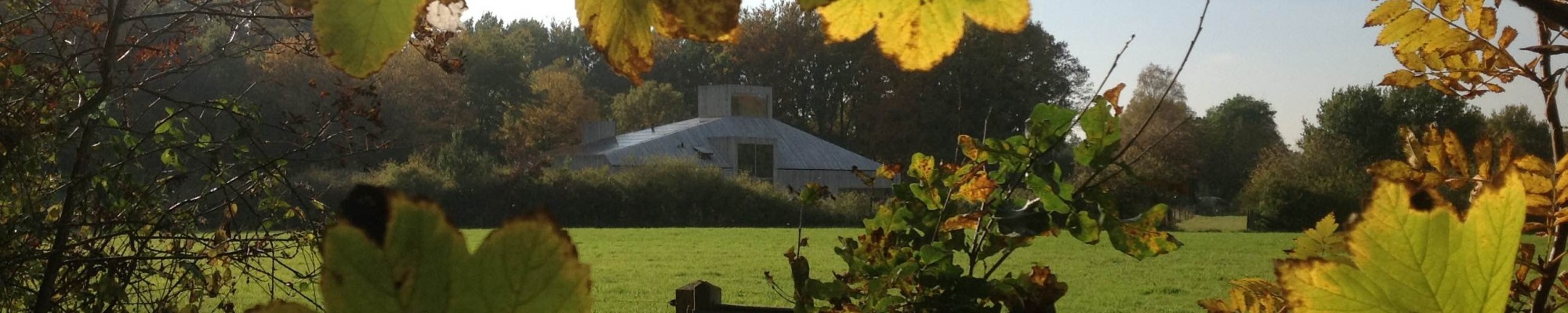 Het Groene Huis in de bosrijke omgeving.