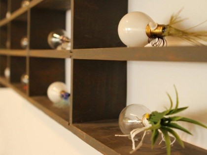 Carolien Adriaansche Collectie Teken Stedelijk Museum Meppel