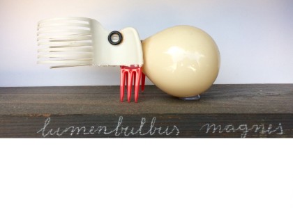 Carolien Adriaansche Collectie Lumenbulbus