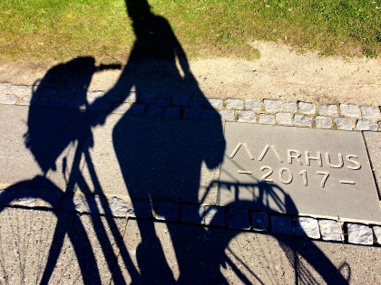Carolien Adriaansche - Collecting plastic waste in Aarhus