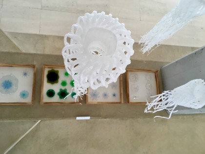 New Biodiversity 2 - Universidade de Lisboa