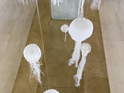 New Biodiversity 2 - EEF - Jelly Fish