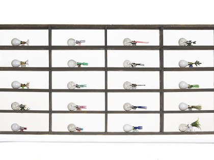 Carolien Adriaansche Ticks Collection