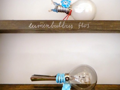 Carolien Adriaansche Ticks Collection detail