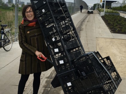Carolien Adriaansche - Floriade crates