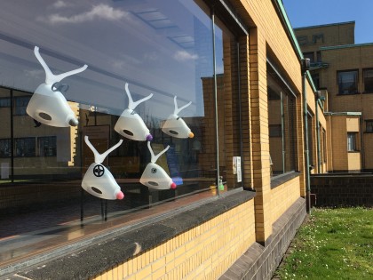 Carolien Adriaansche Kunstmuseum Quarantine Art