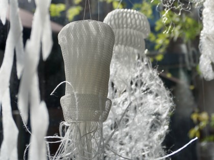 Carolien Adriaansche The Grey Space in the Middle, Jellyfish