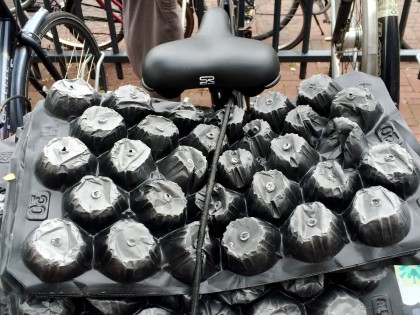 Carolien Adriaansche - collecting plastic waste