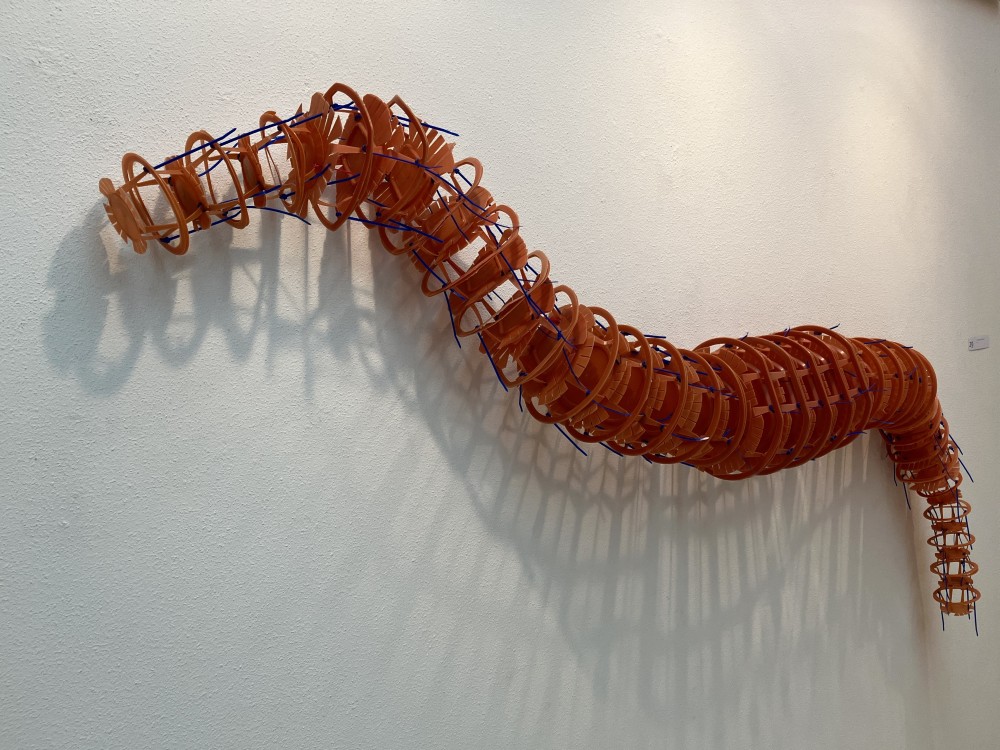 Worm