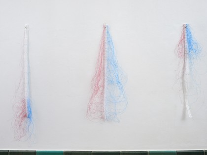 Carolien Adriaansche O2-12