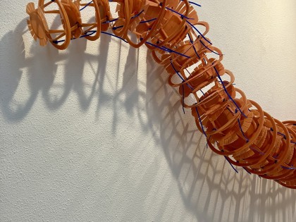 Carolien Adriaansche Worm 2