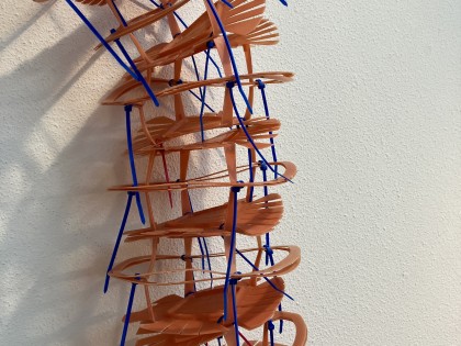 Carolien Adriaansche Worm 3