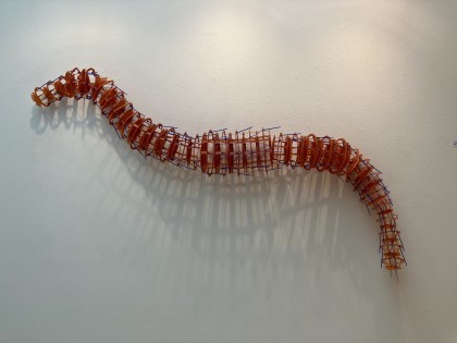 Carolien Adriaansche Worm 4