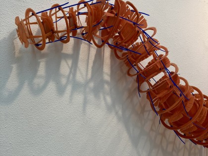 Carolien Adriaansche Worm 5