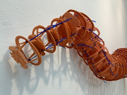 Carolien Adriaansche Worm 6