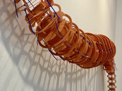 Carolien Adriaansche Worm 8