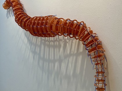 Carolien Adriaansche Worm1