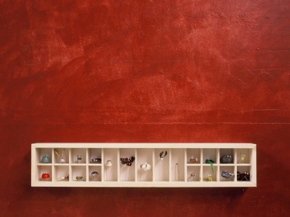 Carolien Adriaansche Collectie Insecten