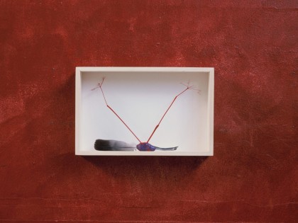 Carolien Adriaansche Collectie Loopvogels