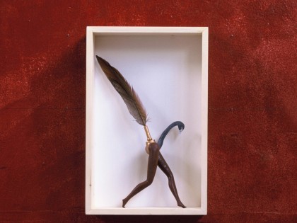Carolien Adriaansche Collectie Loopvogels