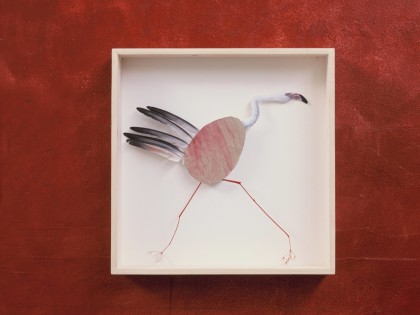 Carolien Adriaansche Collectie Loopvogels