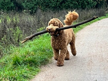 Oscar