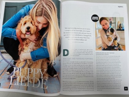 In de media